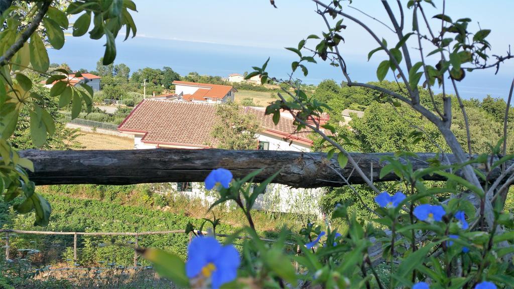 Agriturismo Agri Armonia San Lucido Zewnętrze zdjęcie