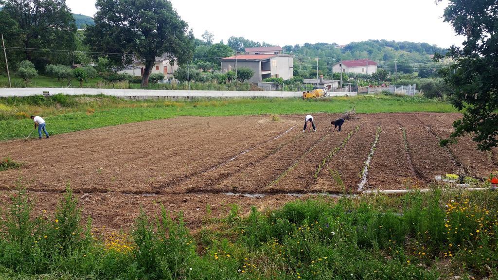Agriturismo Agri Armonia San Lucido Zewnętrze zdjęcie